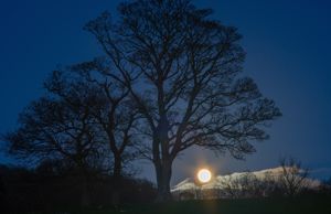 Photo 3- click for photo gallery